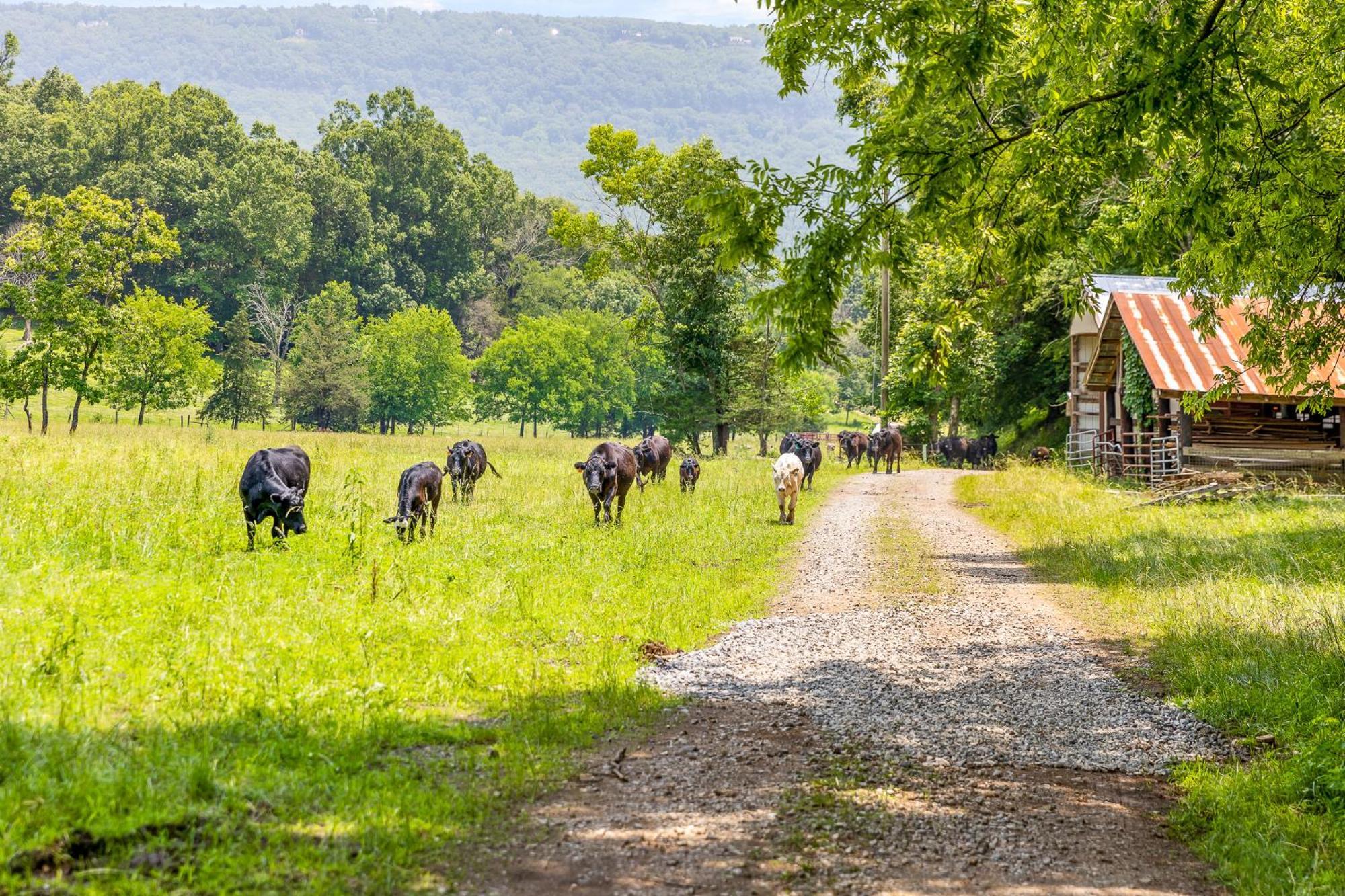 Quail Run Farm Pool Home Чаттануга Экстерьер фото